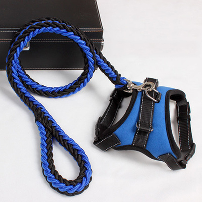 Adventure Chest Harness